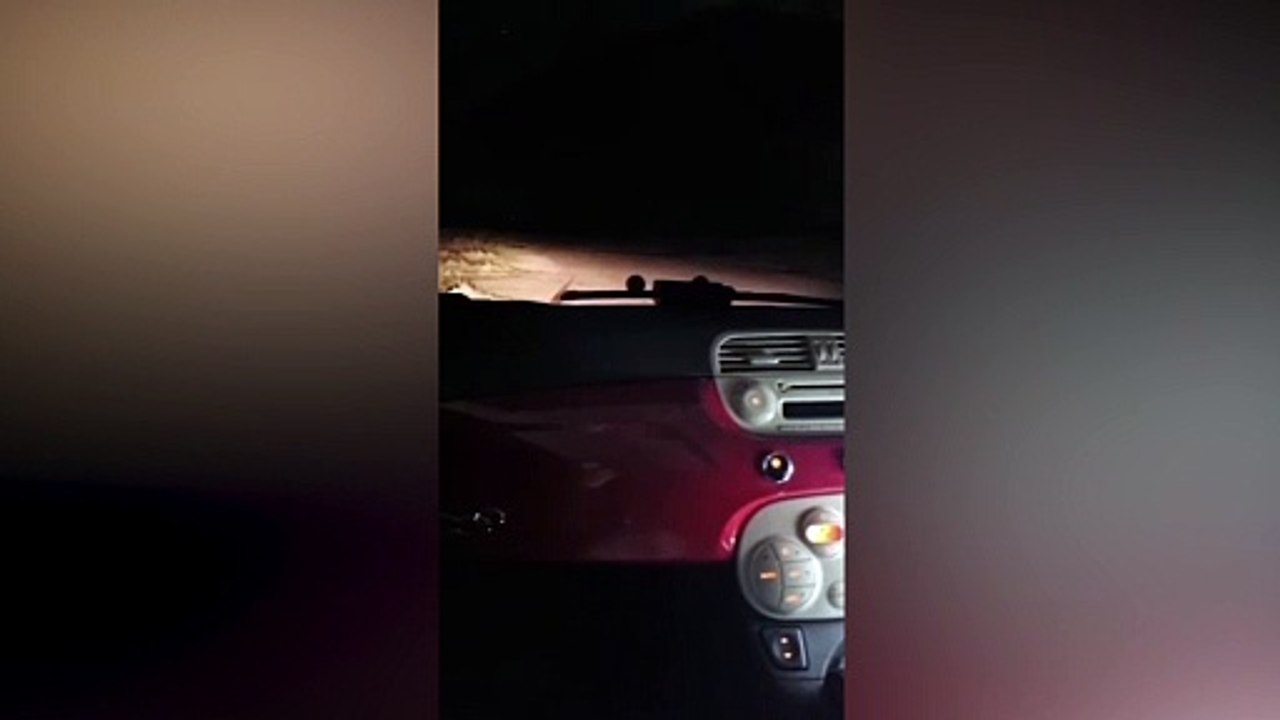 Ghost sighting by Bassetlaw woman -SWNS