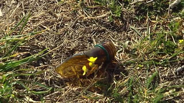 Bandas de jóvenes con machetes atacan en Madrid