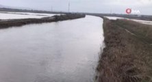 Ergene Nehri taştı, tarım arazileri sular altında kaldı