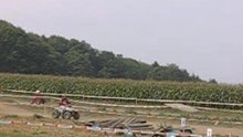 Free Quad 2005