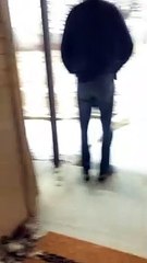 Texans Test if Snow is Slippery