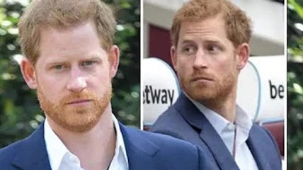 Le prince Harry a été invité à « trouver un emploi » avant que les commentaires sur l'épuisement pro