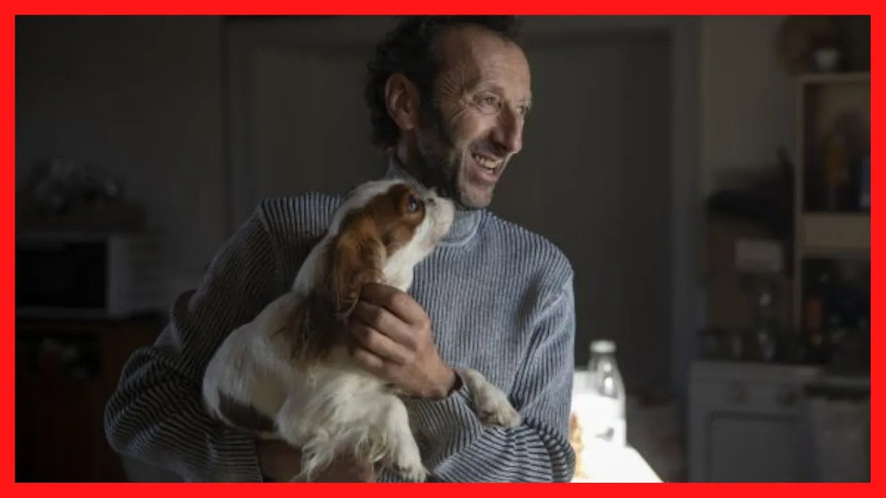L’amour est dans le pré 2022 : qui est Alain, l’agriculteur gay, père de deux enfants ?