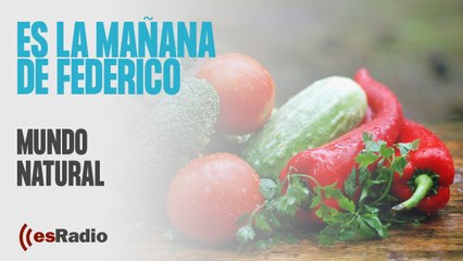 Mundo Natural: Coenzima Q10