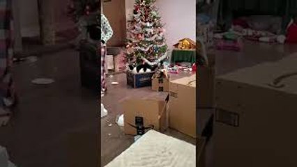 Kid's Fun Way of Transporting Cat's Around the House