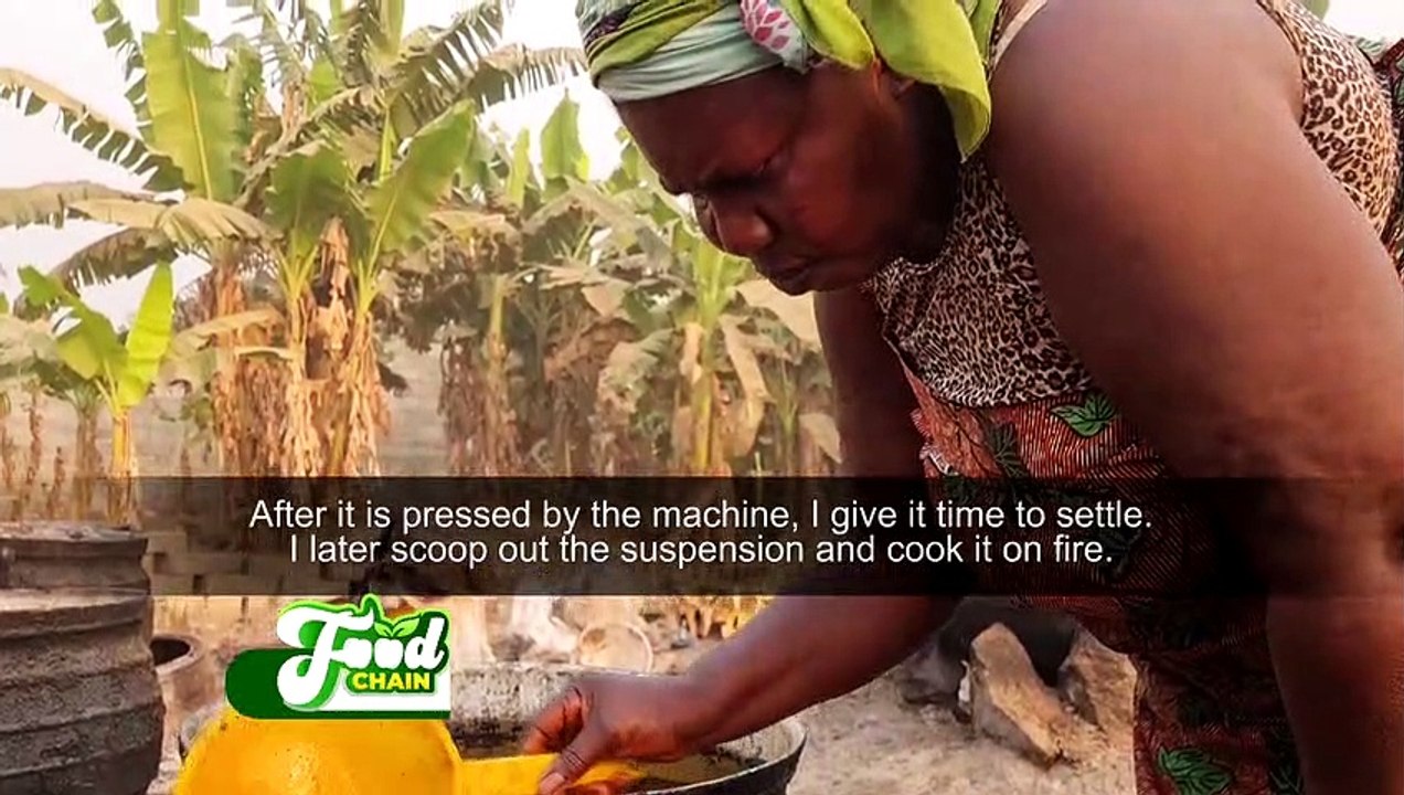 Oil Palm Production: Spotlight on Sekyere East Oil Mills- Food Chain on Joy Business(7-2-22)