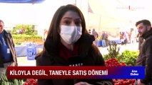 Pazarcı esnafı zorda! Kiloyla değil taneyle satış dönemi başladı