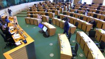 Ana Losada en el Parlamento Europeo