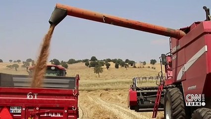 Rusya-Ukrayna gerilimi