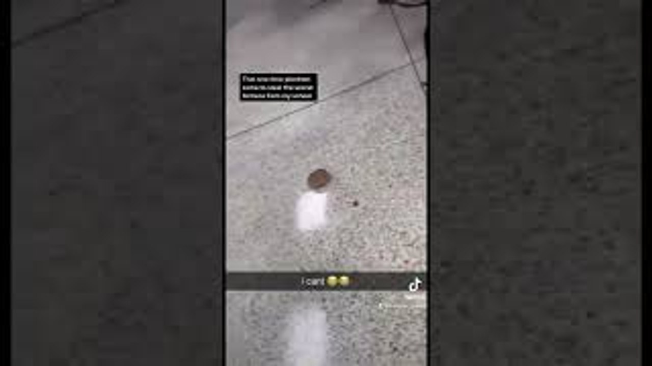 Burger Bun Travels in School Cafeteria