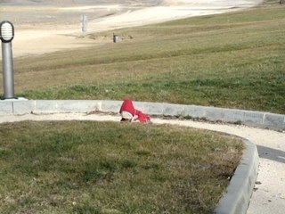 Julian Lac Foret d'Orient Février 08