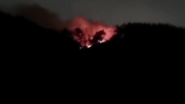 경북 경주에서 야간 산불 발생...3시간 만에 진화 / YTN