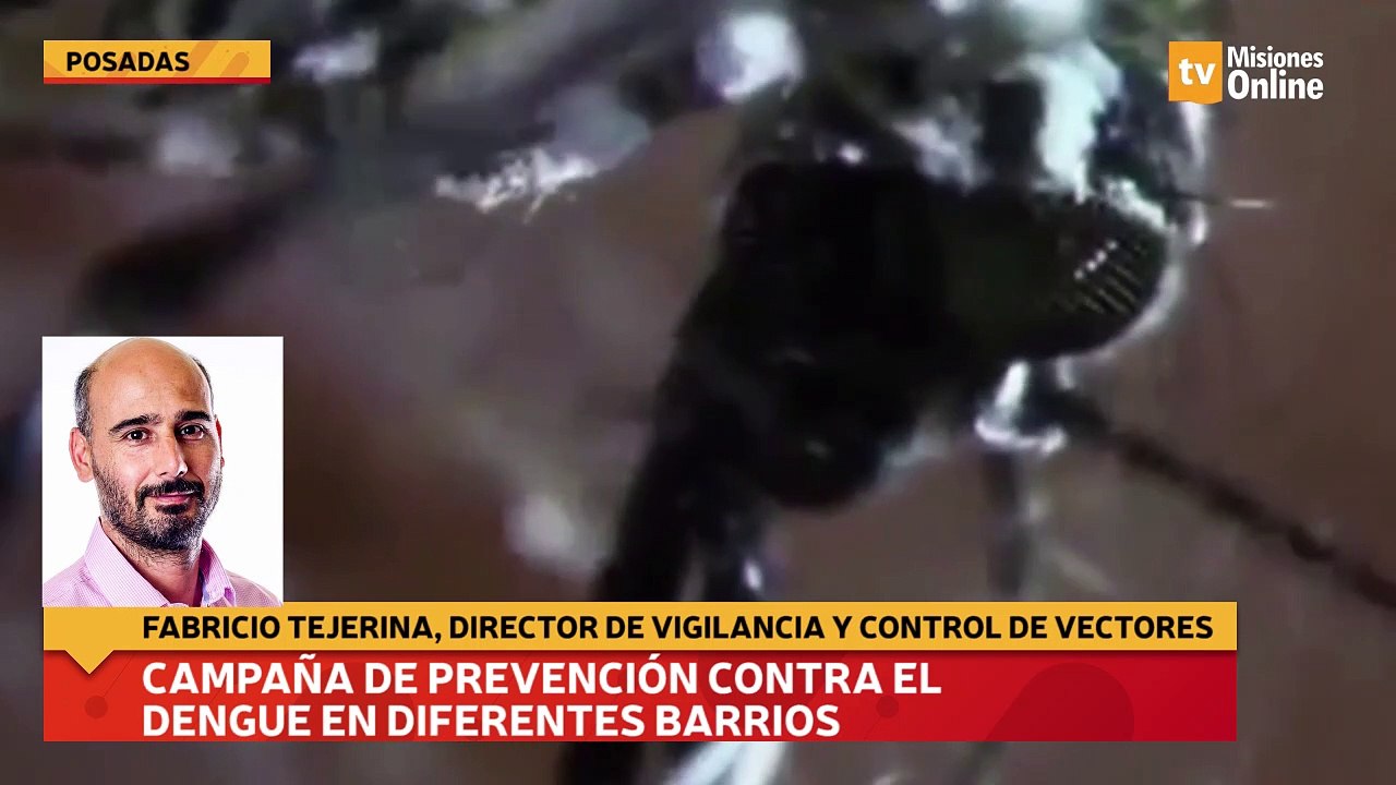 Campaña de prevención contra el dengue en diferentes barrios