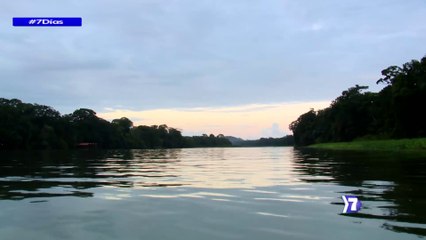 7dias-cantos-colores-y-plumas-070222