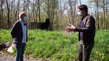 Les voyages d'Ulysse - Vivre avec les loups