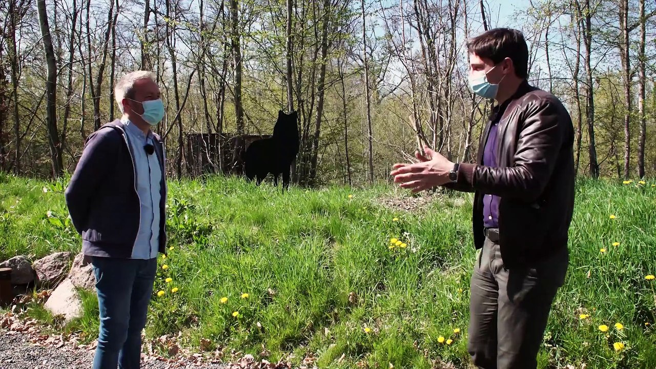 Les voyages d'Ulysse - Vivre avec les loups