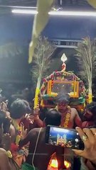 திருச்செந்தூர் முருகனுக்கு சர்ப்பக் காவடி சுமக்கும் சங்கரலிங்கபுரம் பக்தர்கள் - அரோகரா முழக்கம்