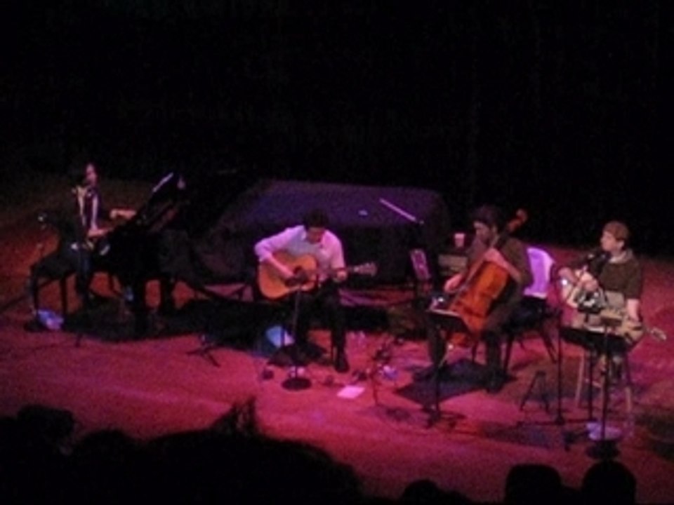 Magnetic Fields - Three-Way (Town Hall NYC)