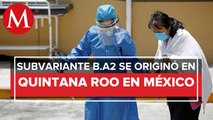 Subvariante de micron lleg a Mxico desde el 10 de enero: UNAM