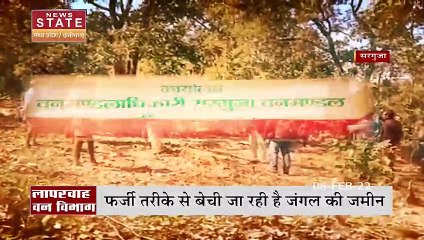 Surguja में वन विभाग की जमीन पर माफियाओं ने किया कब्जा, जमकर हो रही है पेड़ों की कटाई