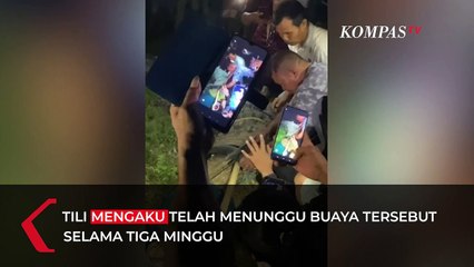 Cerita TIli, Warga Sragen yang Berhasil Selamatkan Buaya Terlilit Ban di Sungai Palu