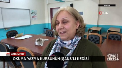 Okuma-yazma kursunun ‘Şans’lı kedisi