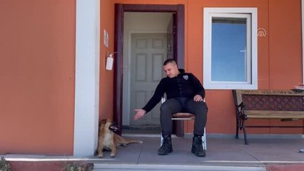 Polislerin yaralı bulduğu köpek, uygulama noktasının "Şeker"i oldu