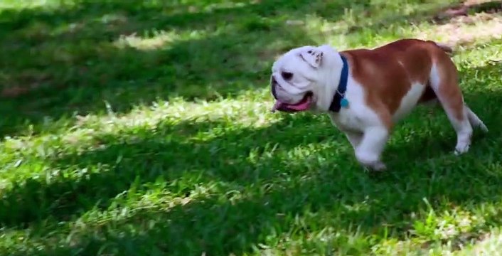 Selling Tampa S01 E04