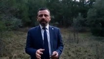 CHP'li vekilden Tarım Bakanı'na: Orman yangınlarıyla mücadele bütçesini neden düşürdünüz?