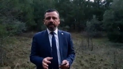 CHP'li vekilden Tarım Bakanı'na: Orman yangınlarıyla mücadele bütçesini neden düşürdünüz?