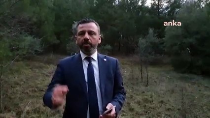 CHP'li Erbay'dan Bakan Pakdemirli’ye: "Bu parayla ormanları nasıl koruyacağız,  yangınları nasıl engelleyeceğiz?