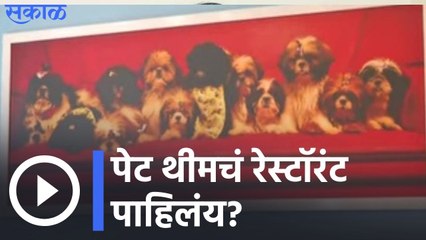 Chennai | चेन्नईला गेलात की ‘ट्विस्टी टेल्स’ला भेट द्या! | Sakal Media |