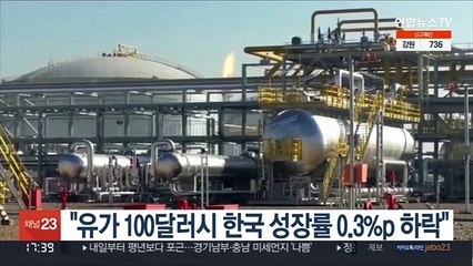 "유가 100달러시 한국 성장률 0.3%p 하락"