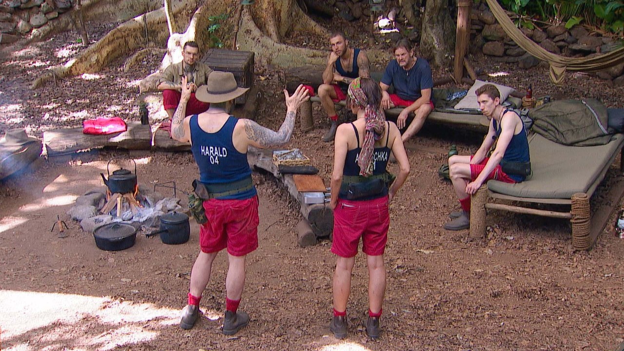 Dschungel-Fake: So wurden wir an der Nase herumgeführt