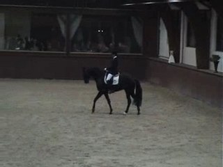 Spotlight finale havens cup octobre 2007