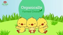 Get Fresh Chicken Delivery in Singapore - Kee Song Food Corporation (S) Pte Ltd