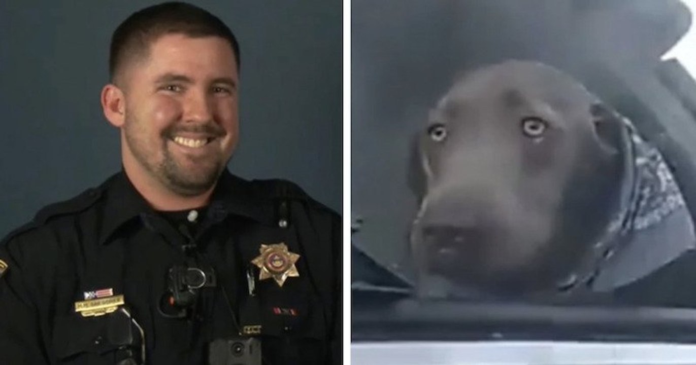 Un policier sauve un chien bloqué dans une voiture en feu