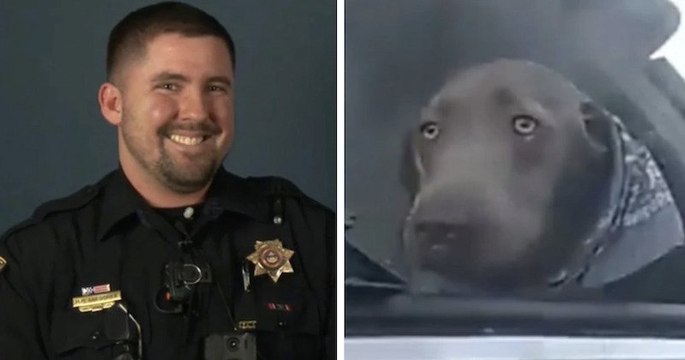 Un policier sauve un chien bloqué dans une voiture en feu