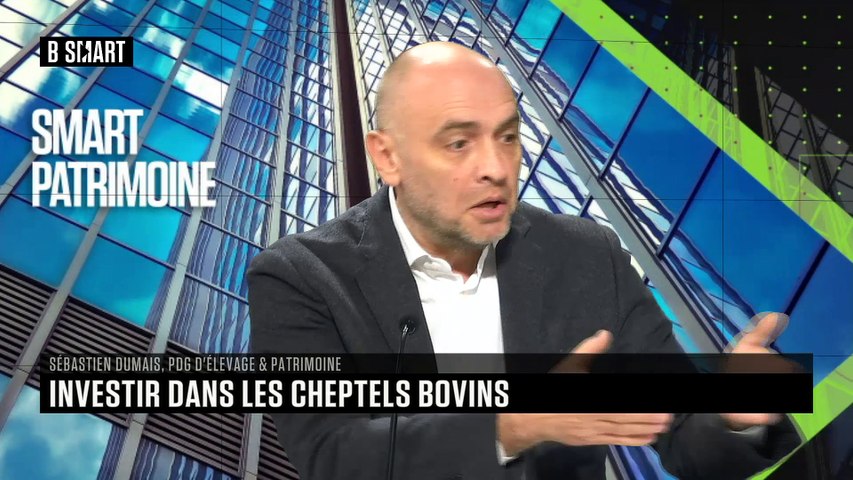 Les cheptels bovins, un investissement comme un autre ?