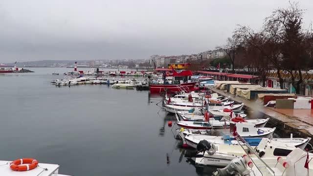 Hamsi ve istavrit tezgahları süslüyor