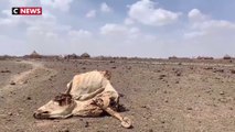 13 millions de personnes menacées de famine dans la Corne de l’Afrique