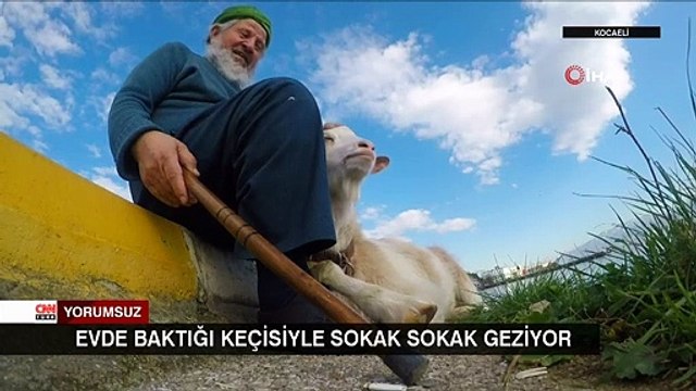 Evde baktığı keçisiyle sokak sokak geziyor