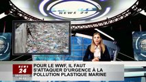 La pollution plastique marine doit être combattue de toute urgence, selon le WWF
