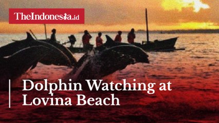 Dolphin Watching at Lovina Beach