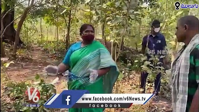 Congress MLA Seethakka Cleans Garbage In Medaram | V6 News