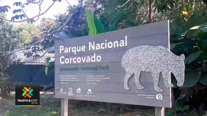 tn7-megaoperativos-en-corcovado-080222
