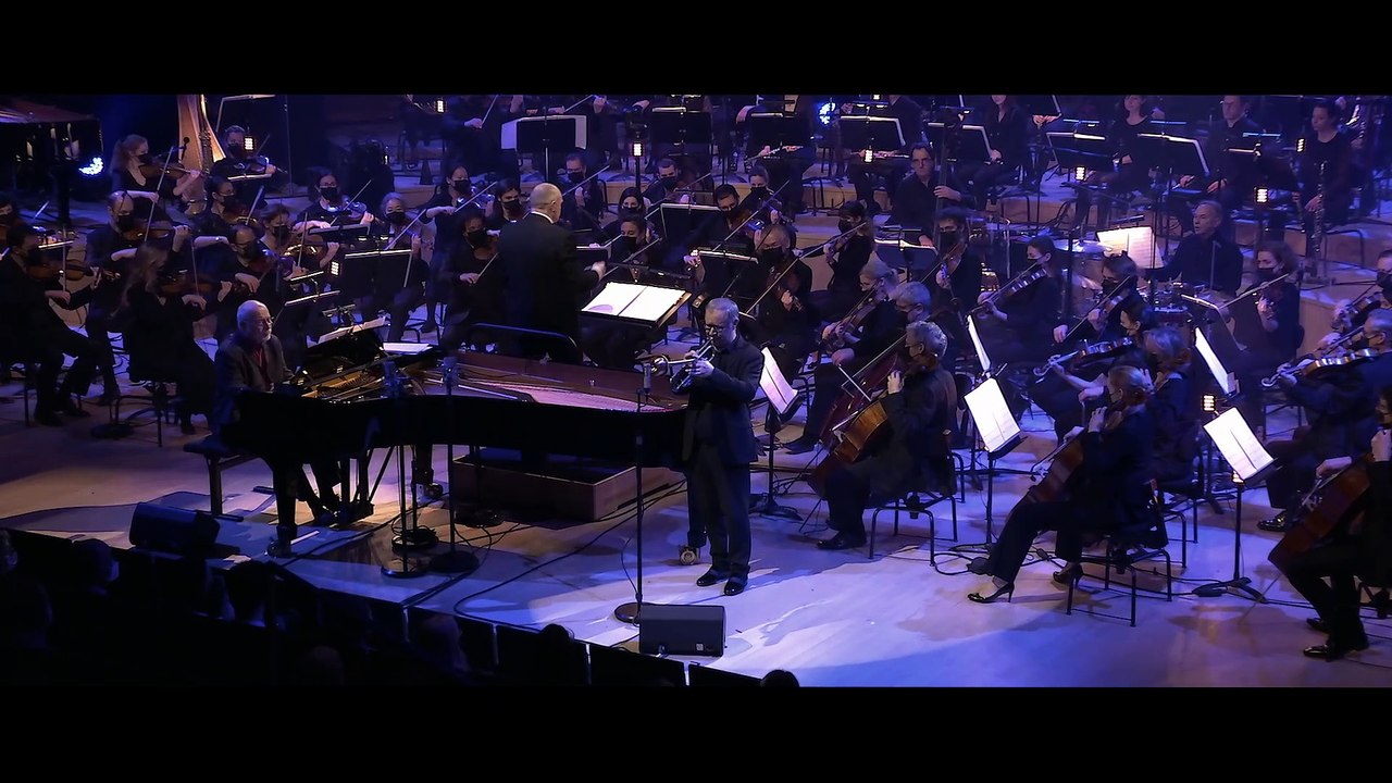 Michel Legrand : Dingo suite