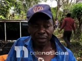 #NacionalesTN / Mueren decenas de cerdos en la comunidad de Los Hatillos de Hato Mayor