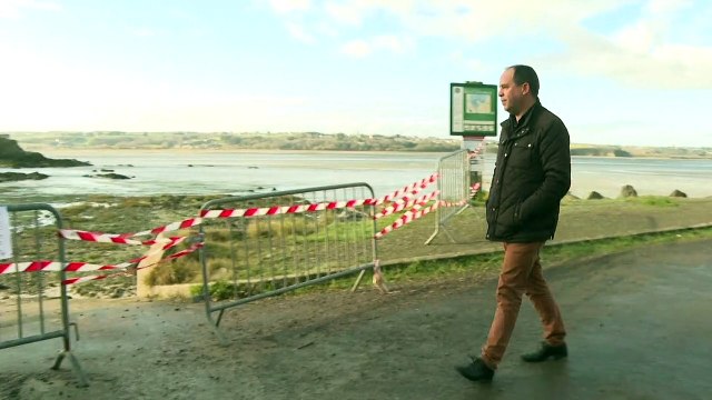 Dans la baie de Saint-Brieuc, des algues vertes même en hiver