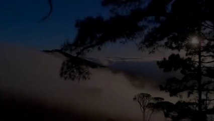 30 Minute Meditation Music for Positive Energy ➤ Balance & Harmony Music ➤ Relax Mind Body